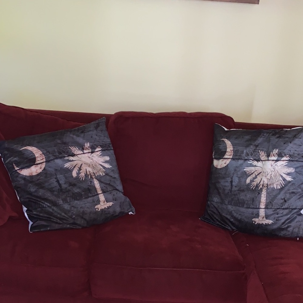 2 SC state flag pillows in brown gray  barely used